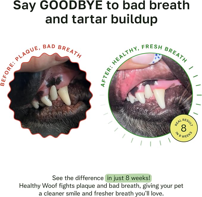 The dog’s teeth before use in the brand-supplied customer example